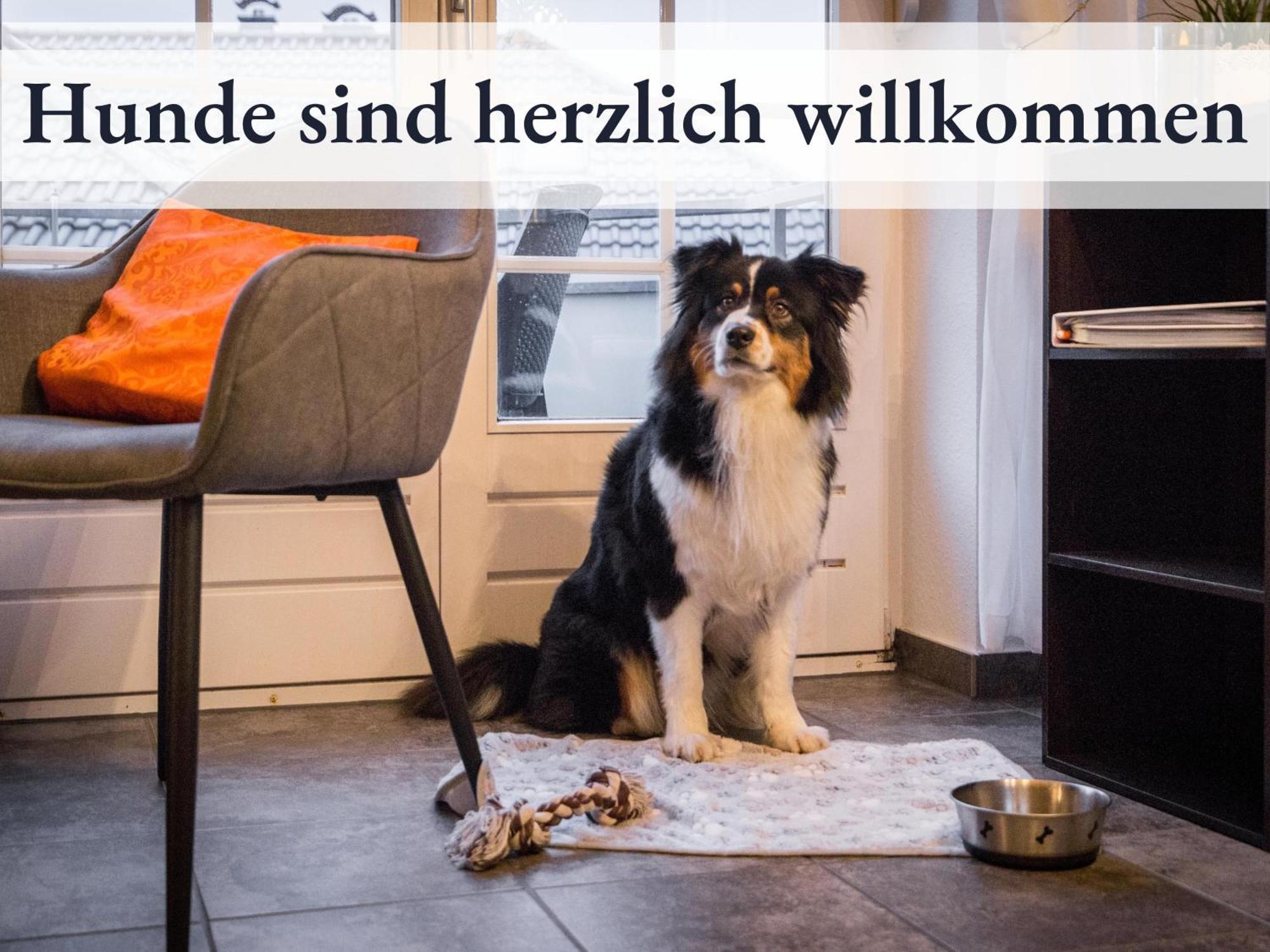 Blumenvilla 1 Mit Begehbarer Dusche, Sauna Und Garten Schneverdingen Eksteriør bilde